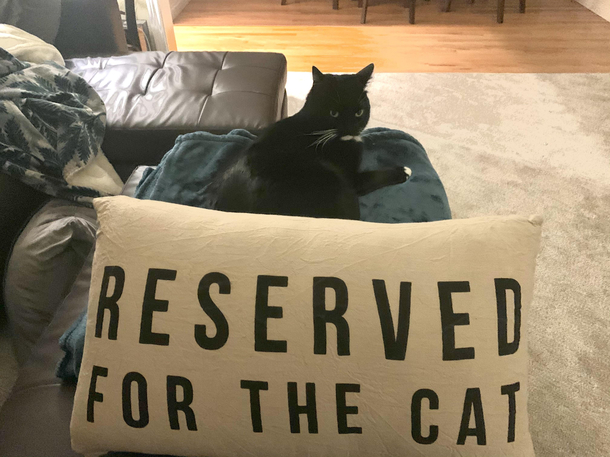 Never without my permission