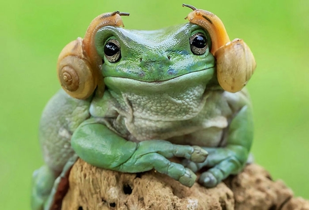 New Apple airpods
