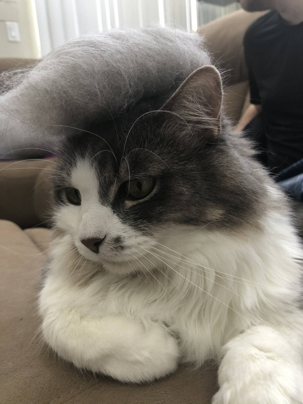 New hairdo