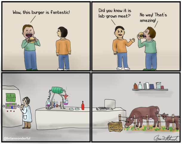 New Meat 
