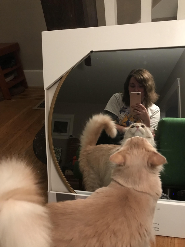 New mirror who dis