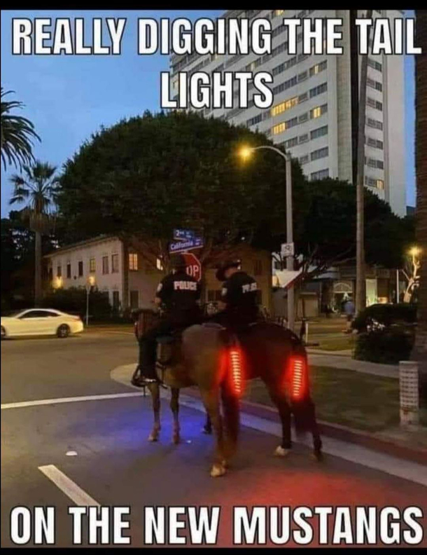 New mustang tail lights