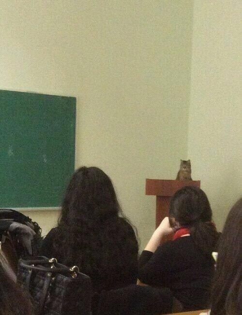 new professor