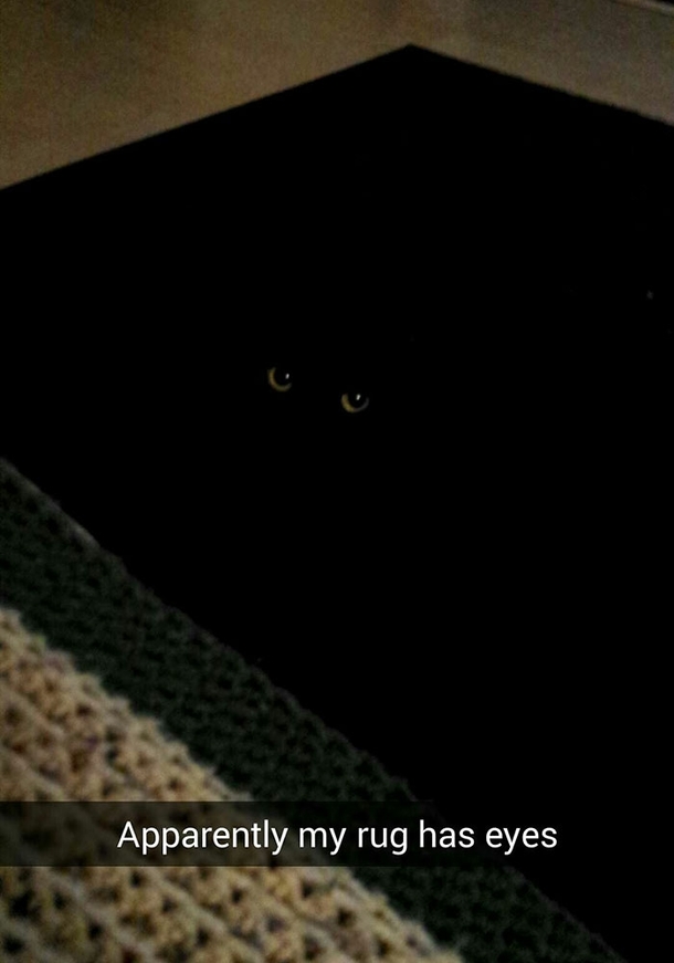 New Rug