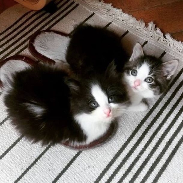 New slipper warmers