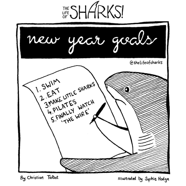 New Year Goals