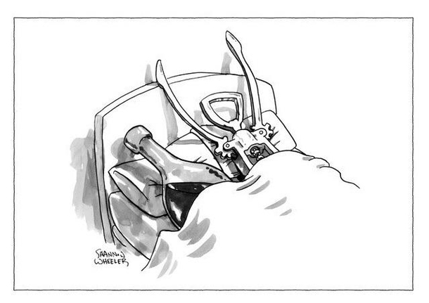 New Yorker cartoon by Shannon Wheeler