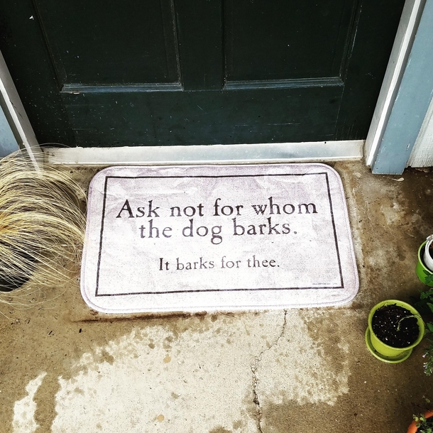 Newest addition to the house