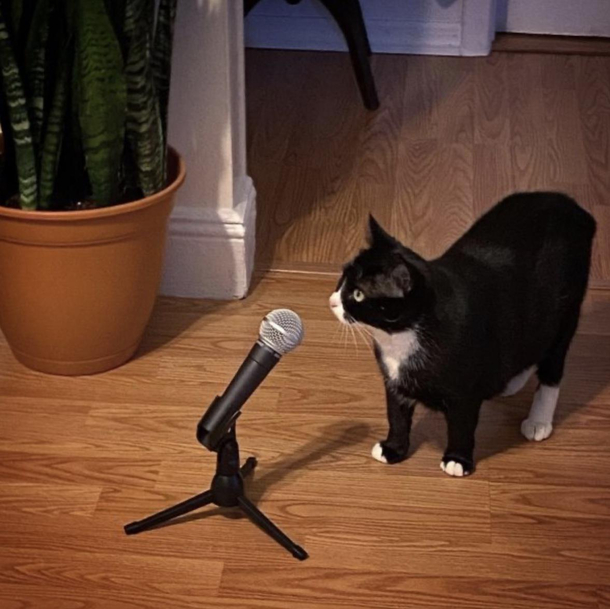 Next up Mr Socks