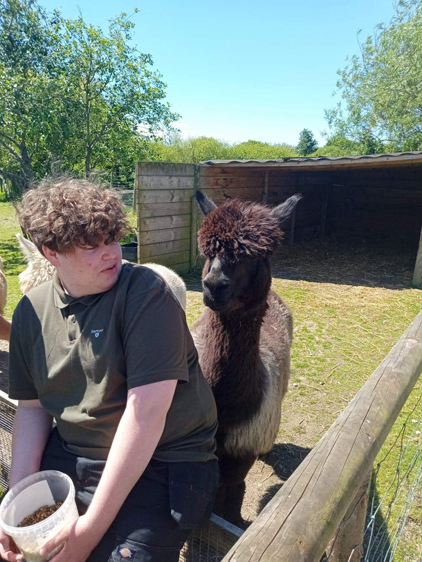 Nice haircut