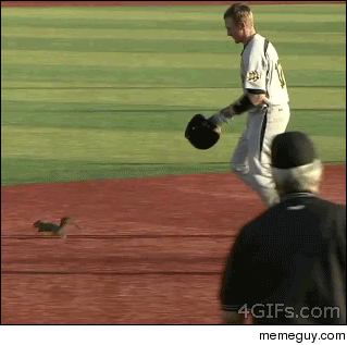 Nice save