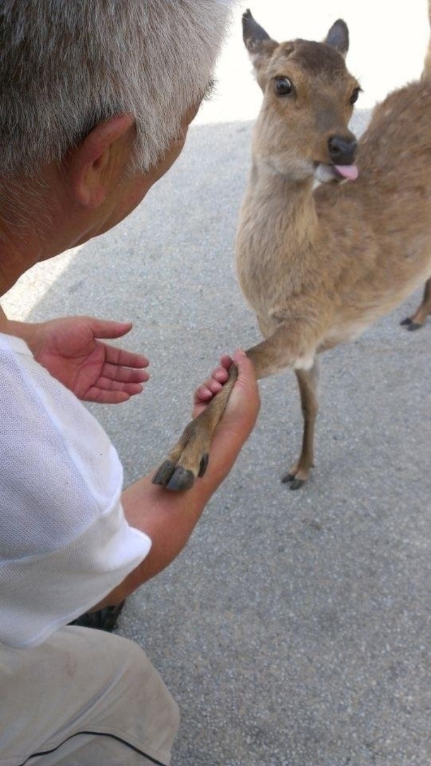 Nice to meet you pbbbtbtpptttt