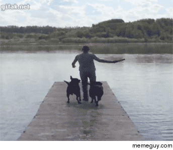Nice try human