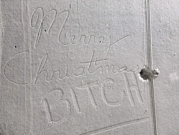 Nights vs days pt  Days wrote BITCH in the frost on the wall so I added some class
