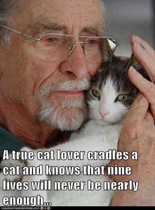 Nine lives is never enough