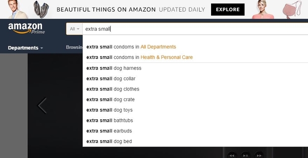 No Amazon thats not what Im looking for
