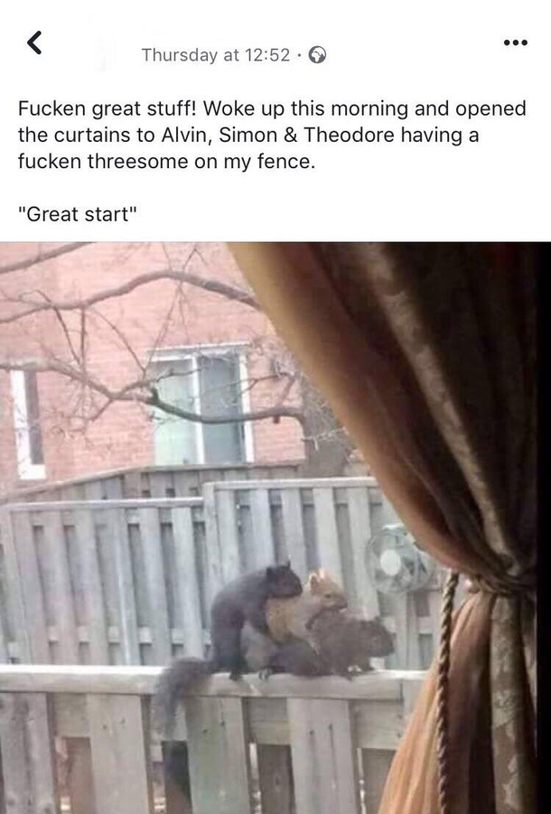 No caption needed