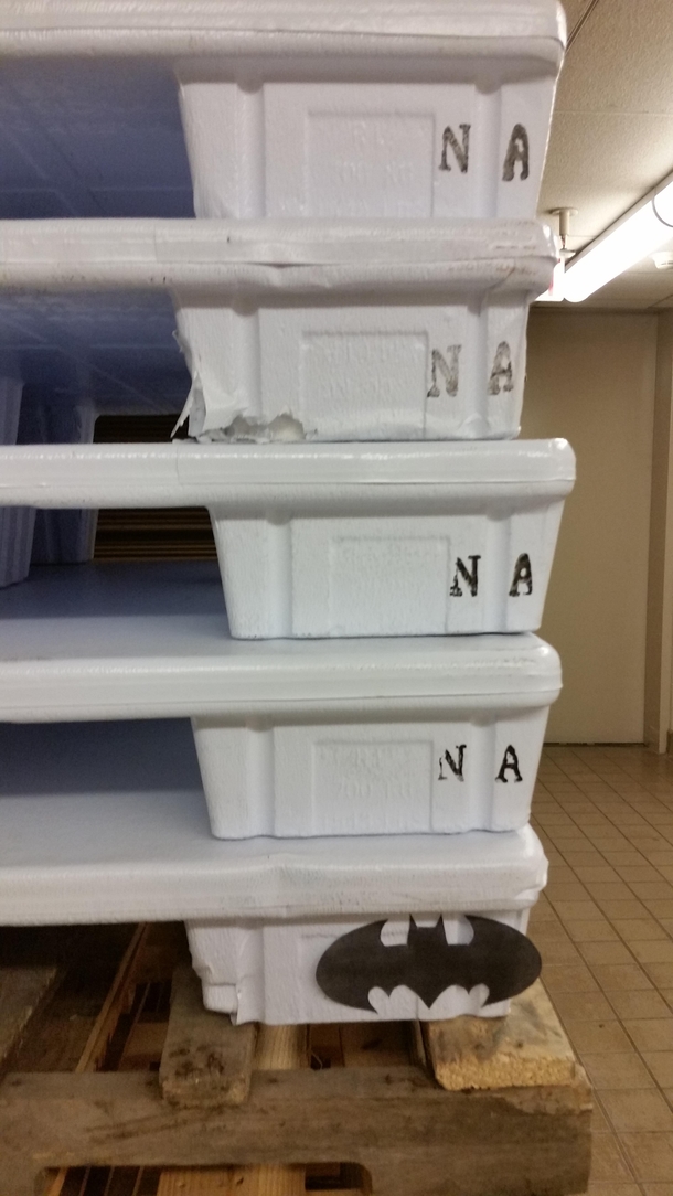 No clue who did this at my work but I want to give them a high five