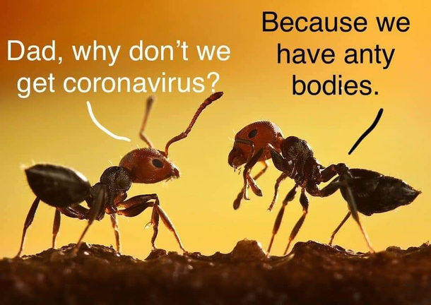 No corona