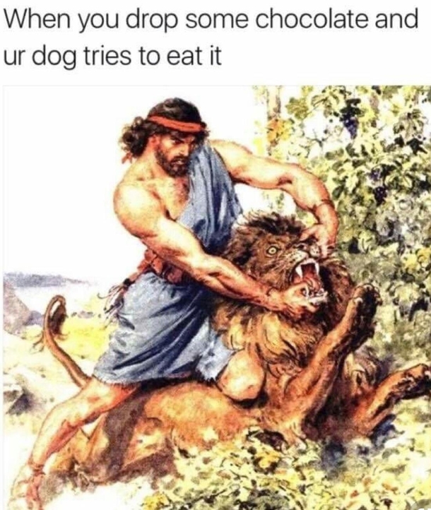 No Doggo