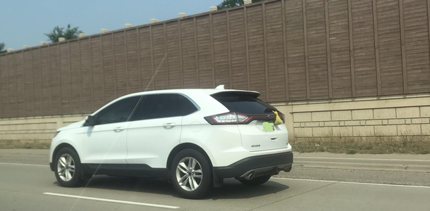 No garbage can Hate littering No problem Hang your dog poop off your rear windshield wiper