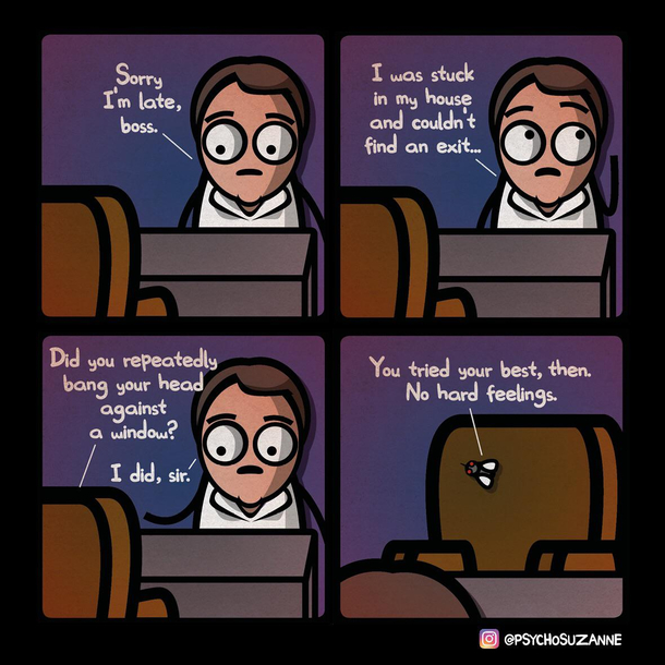 No hard feelings 