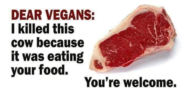 No hate to vegans I just thought it is funny 