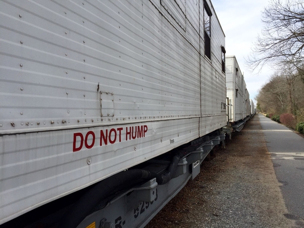 No humping