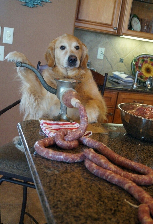 No I havent seen the Cat