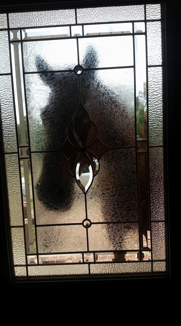 No idea who is at the door