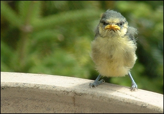 No Im not angry