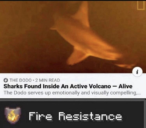 NO  IS BAD ENOUGH
