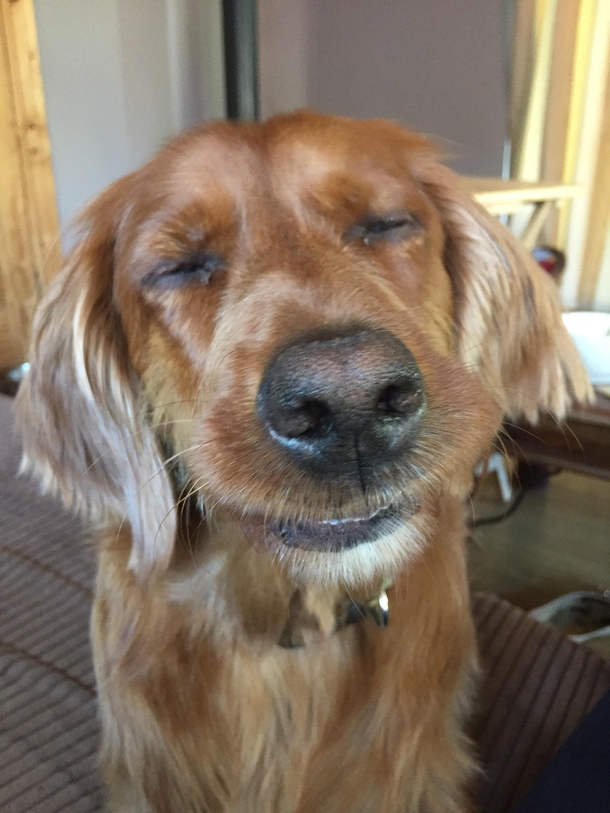 No man havent seen your weed Like why do you ask