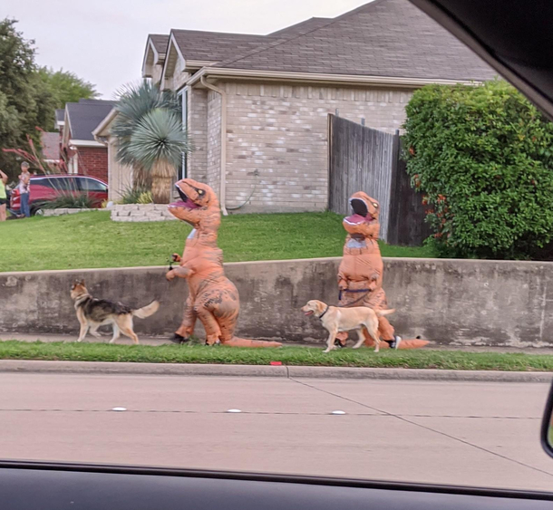 No mask Neighbors say No problem