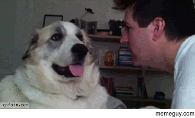 No matter how sour my mood may be this always makes me laugh