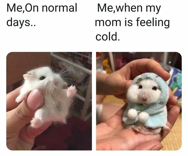 No matter what your mom loves you