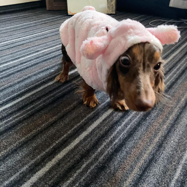 No more cute outfits Mom
