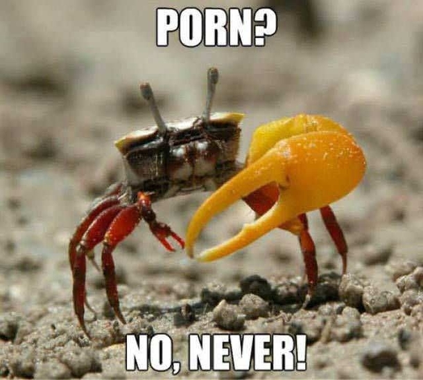 No never