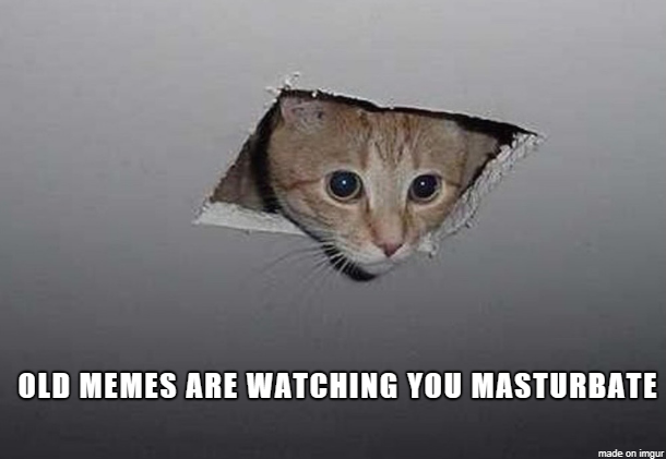 No no dont stop Were just old memes its ok