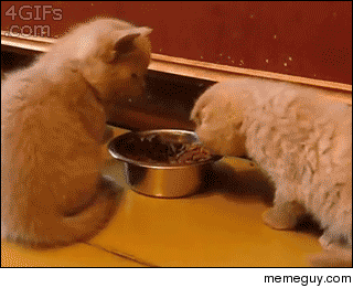 No no this is mine