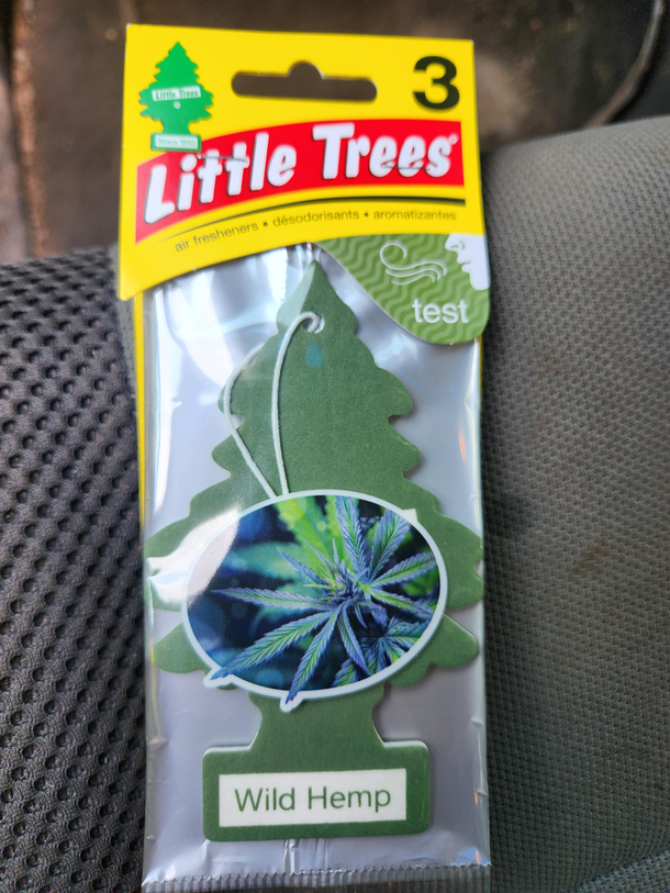 No officer thats just my air freshener youre smelling
