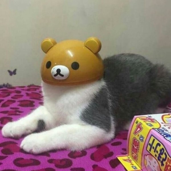 No one cared who I was until I put on the mask