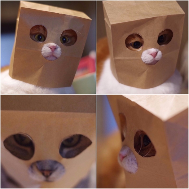 No one cared who I was until I put on the mask