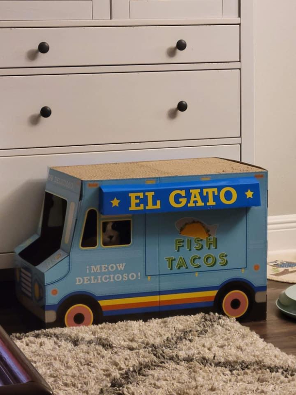 No one has the heart to tell him that nobody will be coming to buy his tacos