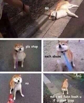 No pls