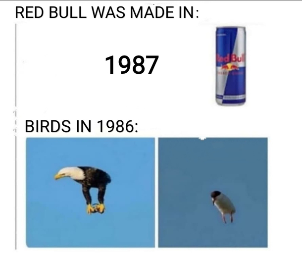 No Red Bull  No wings