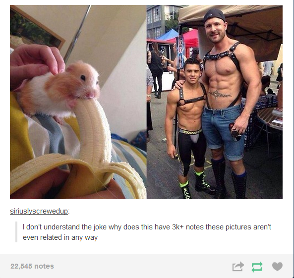 No relation