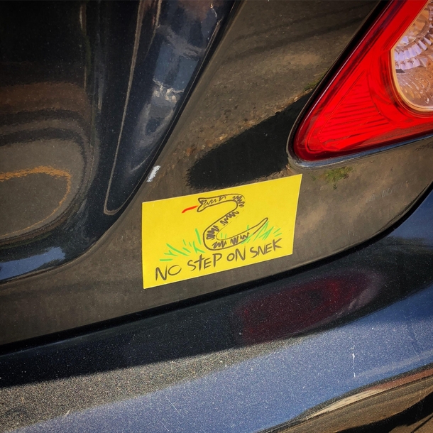 no step on snek