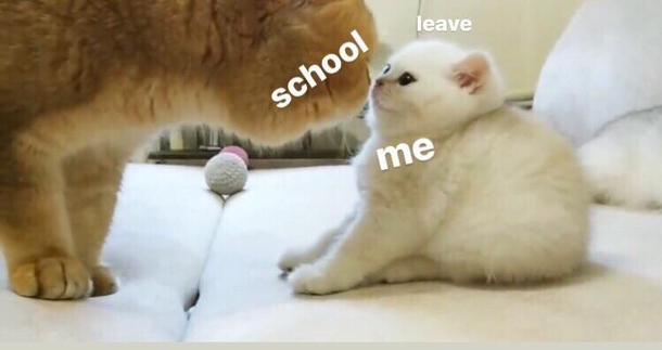 no thanks