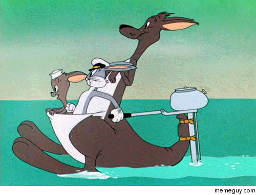 No time to explain Get in the kangaroo